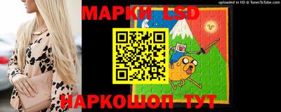 a pvp Бердск