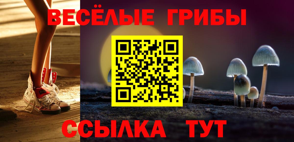 Галлюциногенные грибы Cubensis  Галлюциногенные грибы Cubensis  Вход с VPN  Горно-Алтайск 